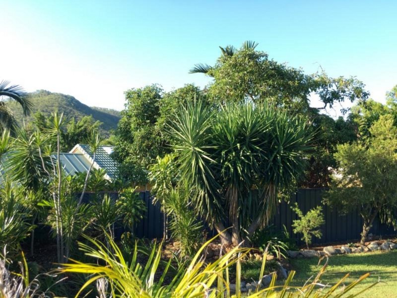 215 Pritchard Street, Frenchville QLD 4701